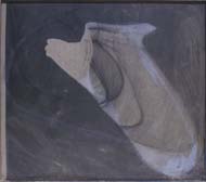 fotogram skla, fotografick emulze na devotsce, 100x100cm